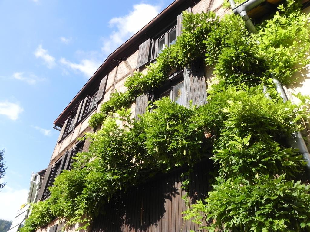 Le Nid De Cigognes Kintzheim Villa Luaran gambar